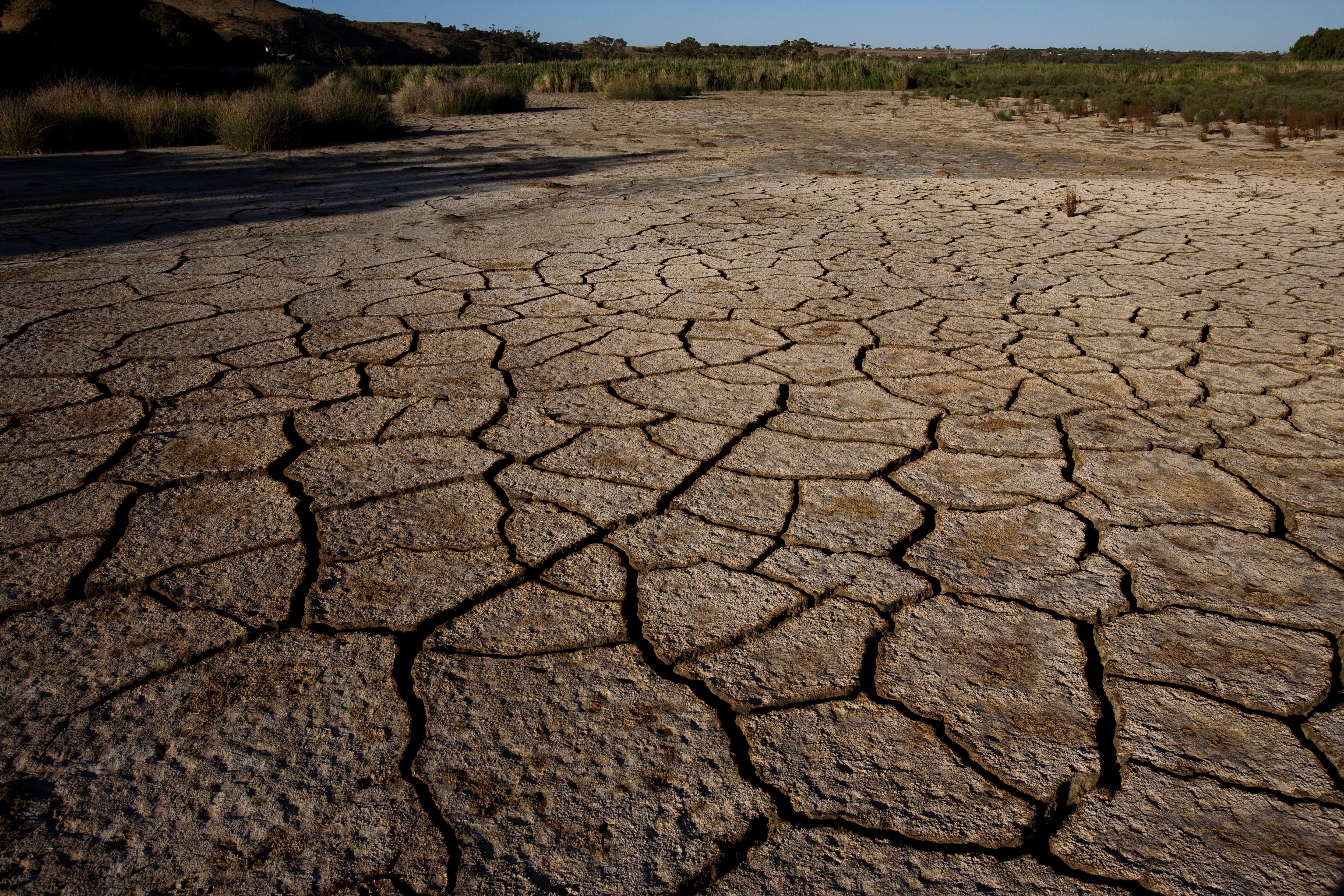 McIlroy eyes new 2024 goals amid major drought - McIlroys Major Drought: Assessing the Challenges