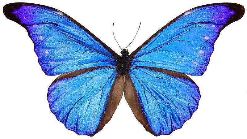 LIV star ‘more optimistic’ about major access for LIV players in 2025 Image