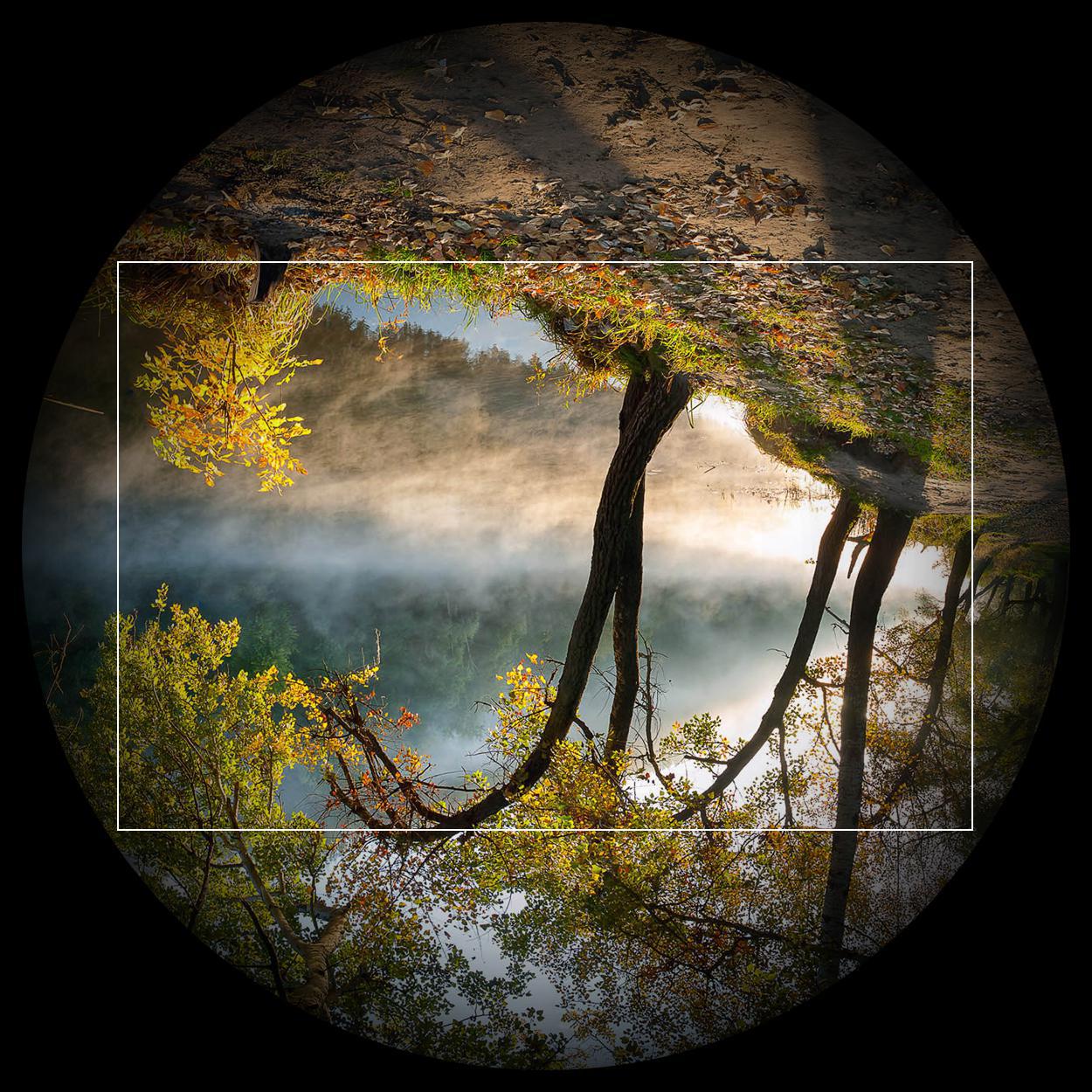 Note to Mitch and Cam: No sleeping pills before a layover #ModernFamily #CamTucker #Shorts Image