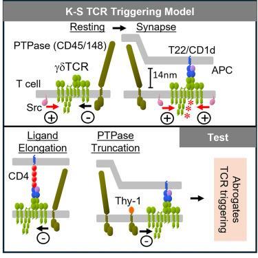 **Unlocking the Secrets of Dustin Johnson's Golf Swing: A Deep Dive into Masterful Technique** Here is a comma-separated list of relevant keywords extracted from the article heading:
**Dustin Johnson
