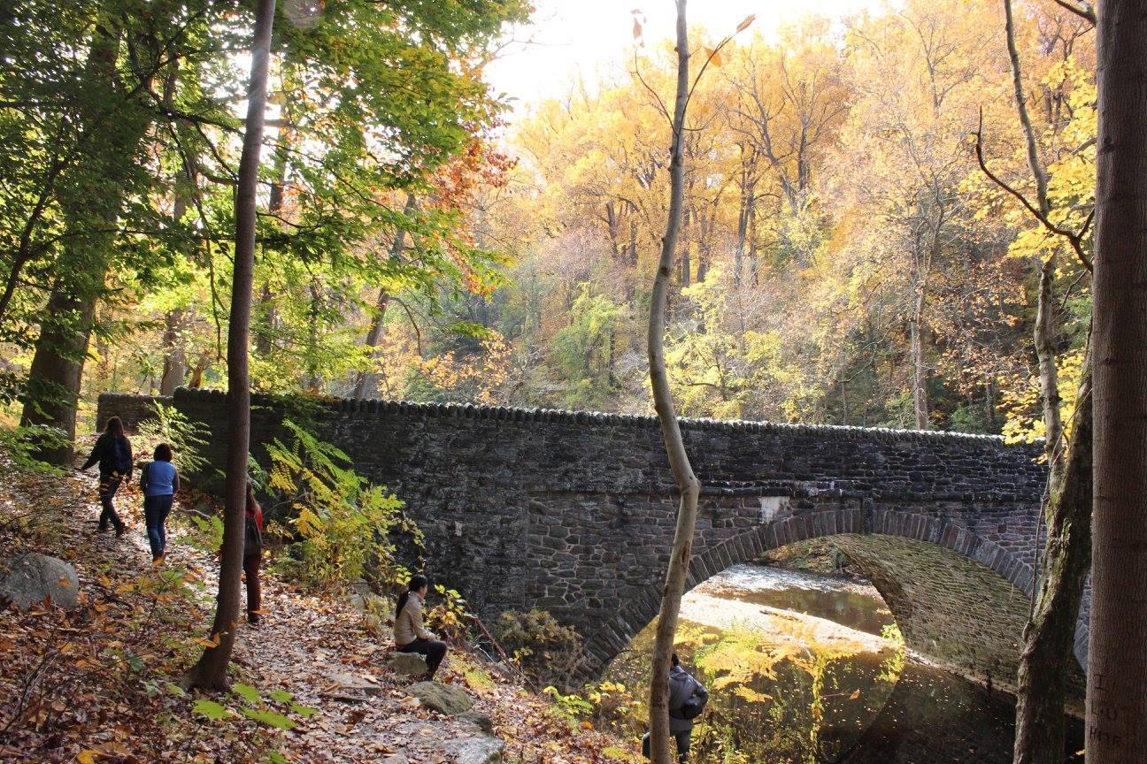Reviving the Magic: The Transformation of Philadelphia Cricket's Wissahickon Course Reviving Wissahickon's Heritage