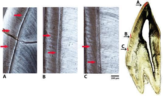 **Unlocking Success: Sam Snead's Top 10 Tips for Hitting Your 3-Iron 150 Yards** Here’s a comma-separated list of highly relevant keywords extracted from the article heading:
Sam Snead