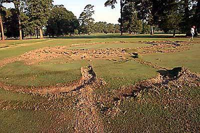 Vandals Strike Cape Cod Golf Course: Community Reels from Extensive Damage Vandals Strike Cape Cod Golf Course: Community Reels from Extensive Damage