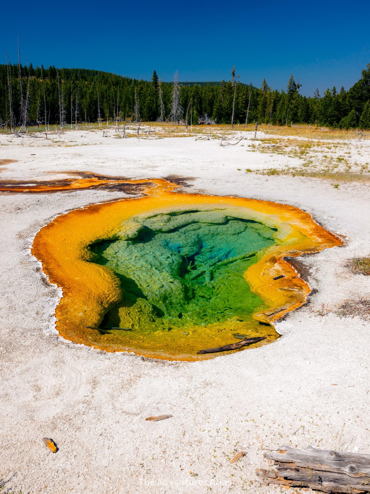 Yellowstone | The Dutton Family Fighting To Protect for Their Ranch & Legacy Yellowstone | The Dutton Family Fighting To Protect for Their Ranch & Legacy