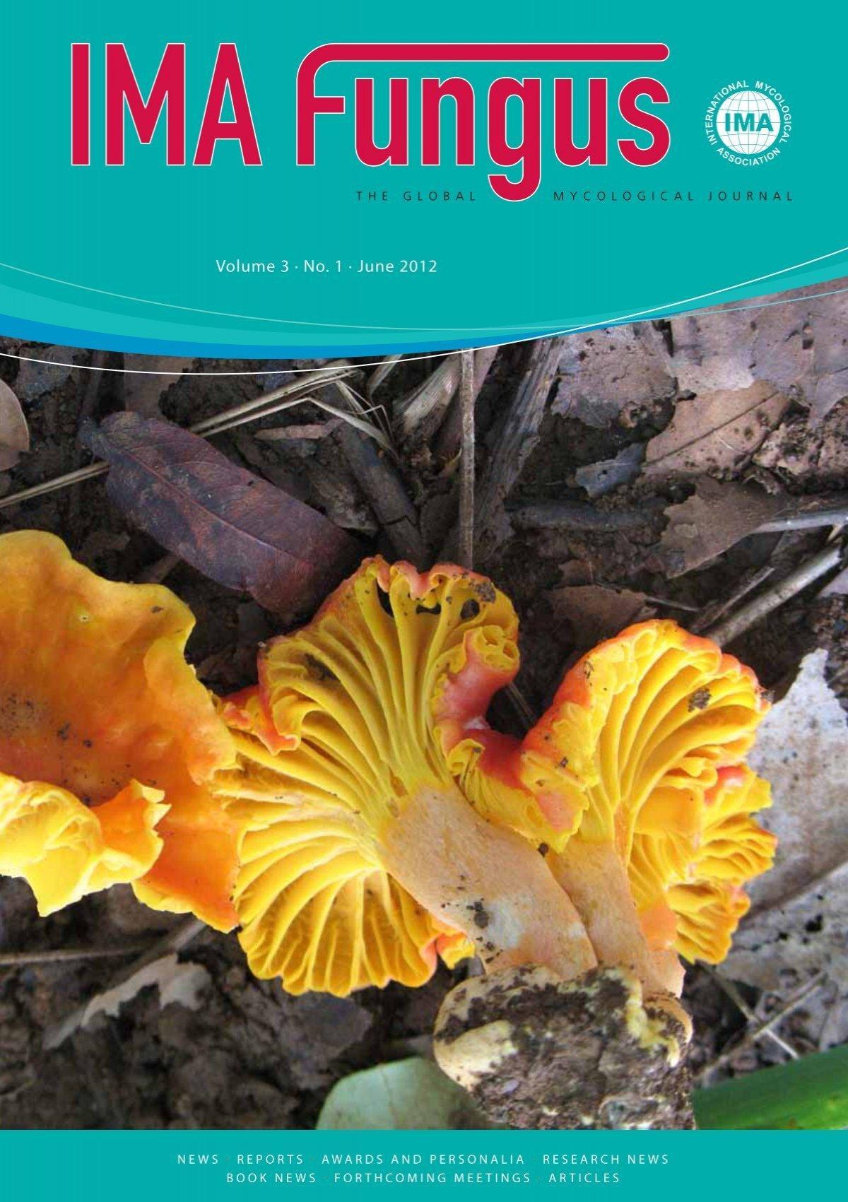 **Nick Dunlap's Unbelievable Journey: From College Junior to Star at the 2024 Hero World Challenge in the Bahamas!** Here's a comma-separated list of highly relevant keywords extracted from the article heading based on your criteria:
Nick Dunlap