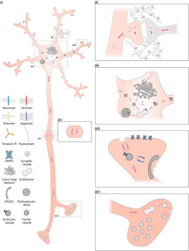 **Unlocking the Secrets of Harvey Penick: Timeless Golf Wisdom for Every Player** Here is a comma-separated list of the most relevant keywords extracted from the article heading:
Harvey Penick