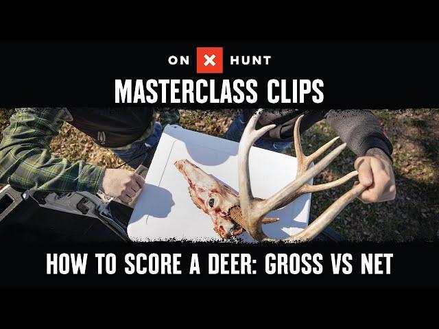 A Comprehensive Examination of Golf Scoring: Unlocking Strategies for Optimal Performance Gross and Net Scoring: A Detailed Examination