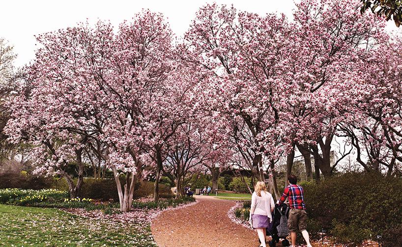 **Discover Magnolia Grove: The Hidden Gem of the RTJ Golf Trail in Southern Alabama** Magnolia Grove's Scenic 18th Hole