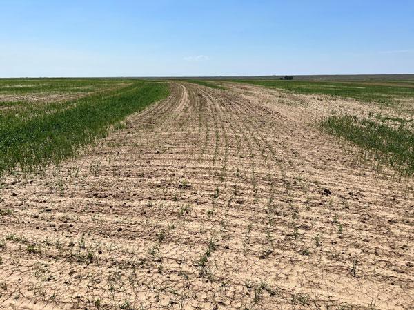 Former PGA Tour Champion Stephan Jaeger Shines at Q-School, Securing Tour Cards for Six Talented Players! Quality Field Provides Stiff Competition at Q-School