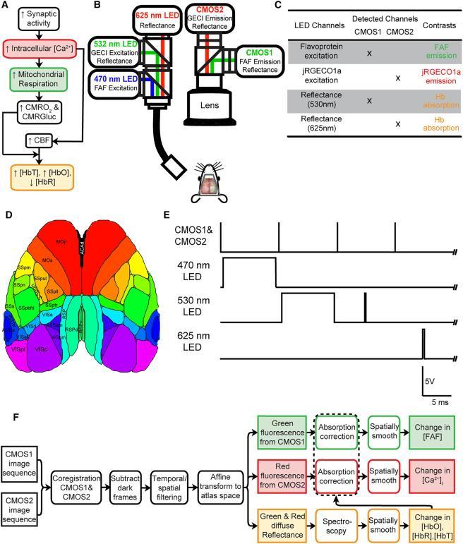 Unlocking Victory: How Scottie Scheffler Can Master the Greens for Unstoppable Success! Here’s a list of relevant keywords extracted from your article heading:
Scottie Scheffler