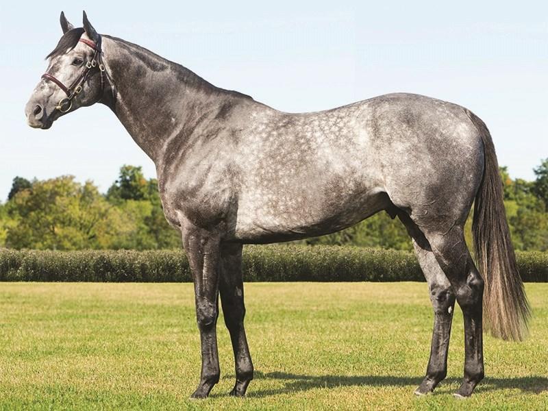 From Rookie Sensation to PGA Star: Nick Dunlap's Game Plan for an Epic Evolution! Rookie Sensation