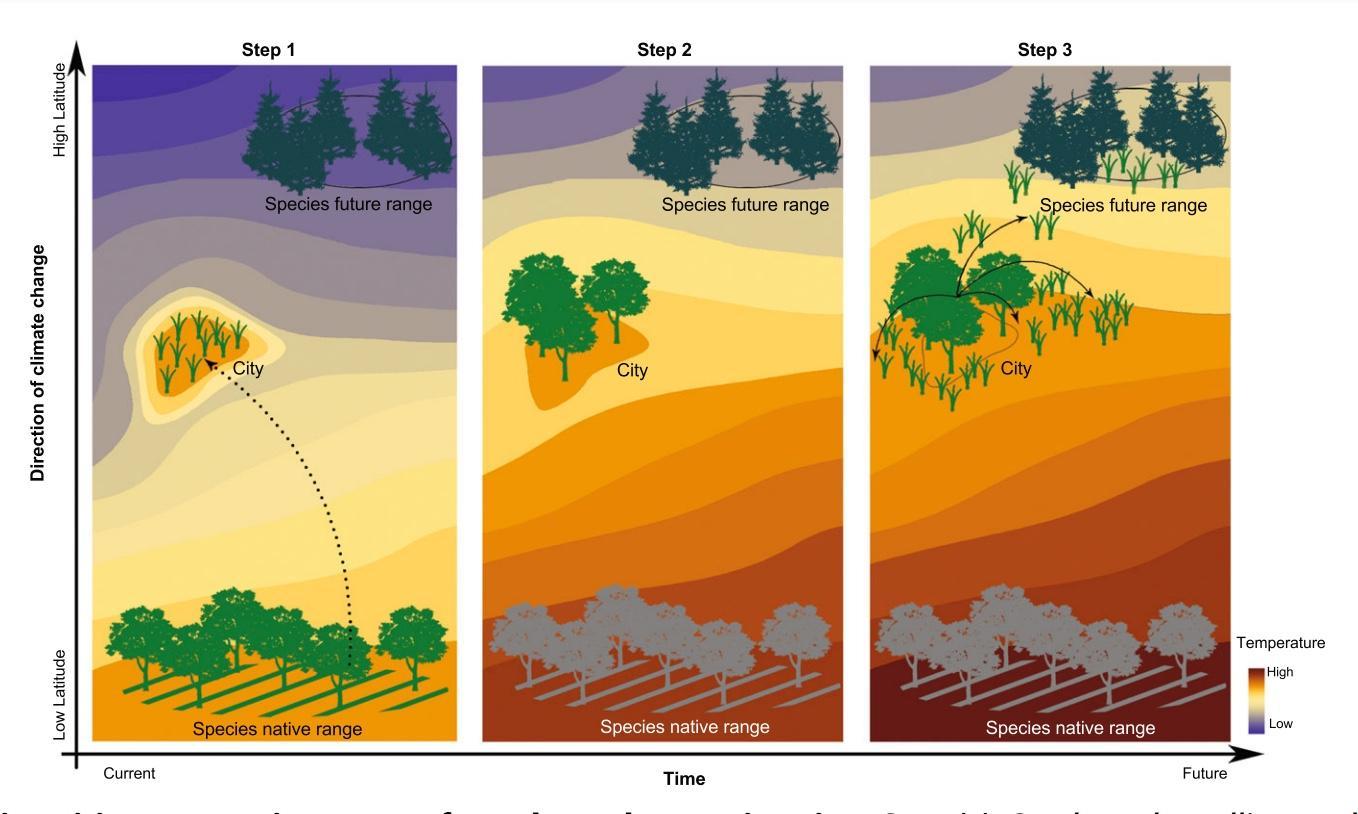 Surviving the Storm: Epic Highlights from Torrey Pines as Wind Wreaks Havoc! Surviving the Storm: Epic Highlights from Torrey Pines as Wind Wreaks Havoc!