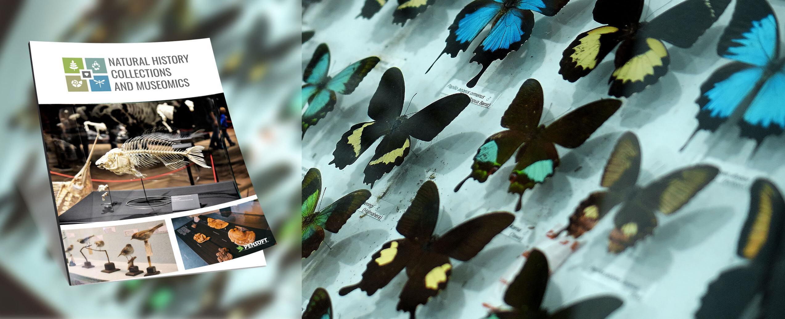 Is It Possible to Shatter a Public Course Record in Just One Round? Is It Possible to Shatter a Public Course Record in Just One Round?