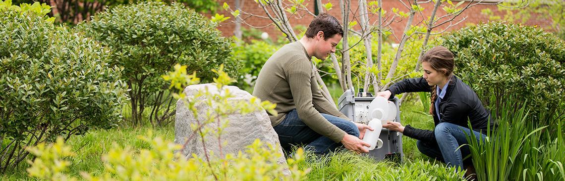 Mastering the Greens: 8 Common Mistakes Novice Golfers Make and How to Fix Them! Mastering the Greens