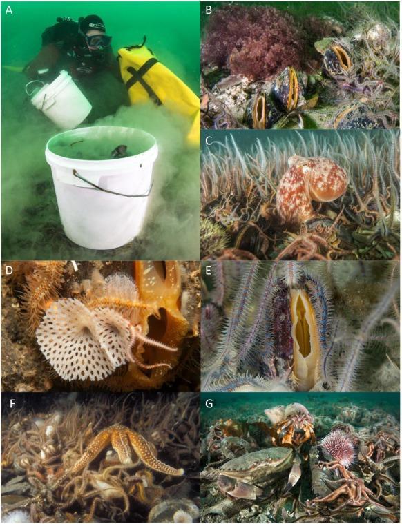 **Mastering the Greens: Unlocking Golf Excellence with Colin Montgomerie's Proven Techniques** Here's a comma-separated list of relevant keywords prioritizing specific references: Colin Montgomerie