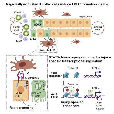 Farewell to Dave Pelz: The Visionary Scientist Who Revolutionized the Short Game at 85 Here’s a comma-separated list of the most relevant keywords extracted from the article title:
**Dave Pelz