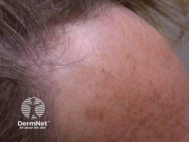 **Unlocking the Secrets of Sam Snead: A Deep Dive into Golf Mastery** Sure! Here's a comma-separated list of the most relevant keywords extracted from your article heading:
**Lanny Wadkins