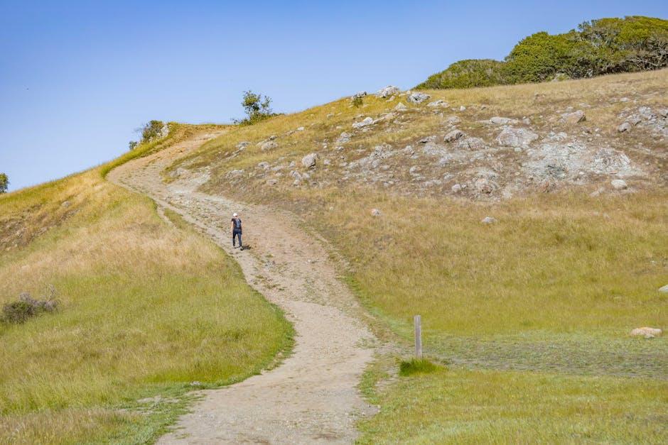 Tommy Fleetwood Takes Command at Travelers Championship, Poised for Breakthrough Tour Victory **Excerpt for