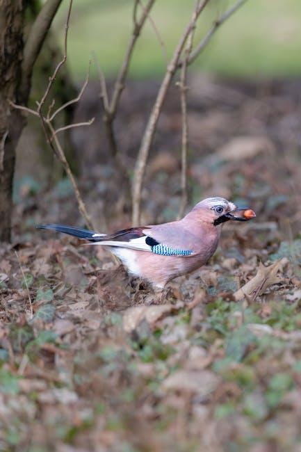 Jay Monahan to Step Down as PGA Tour Commissioner in 2026: New Leadership and Vision on the Horizon Jay Monahan