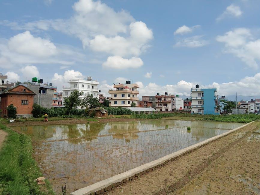 Fang Breaks 18-Year Drought as First American to Win British Amateur Title! ### Excerpt:
In a meaningful growth