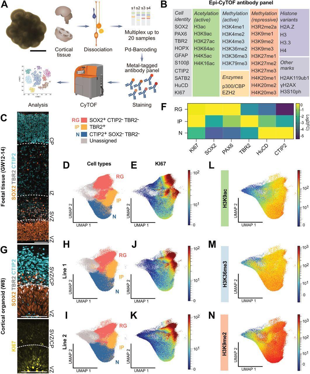 Here's a more engaging rewrite of the article title: "Bryson DeChambeau Reveals Why Your Local Public Golf Course Is Tougher Than You Think here's a comma-separated list of keywords extracted from the article title:
Bryson DeChambeau