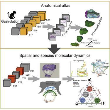 An Analytical Review of Golfing Legends' Performance Here's a comma-separated list of relevant keywords prioritized for targeted image searches:
**Ben Hogan