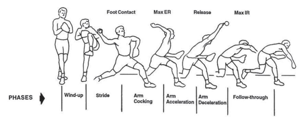 Biomechanical Analysis and Optimization of the Golf Swing Biomechanical Analysis