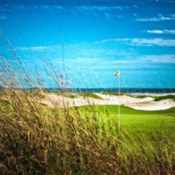 Caretakers of Cypress Point: What it takes to maintain a national treasure Restoring coastal dunes and shoreline defenses with native plantings and living sand fences