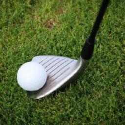 Putting Method: Evidence-Based Protocols for Consistency Quantitative Effects of Grip Variations on Stroke Variability and Directional Control