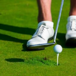 Putting Methodology: Secrets for a Consistent Stroke Theoretical Foundations of a Consistent Putting Stroke