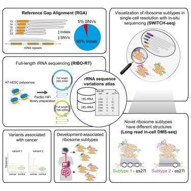 The clever way Brooks Koepka used his golf glove … to fix his grip Here's a comma-separated list of highly relevant keywords for your article heading:
Brooks Koepka