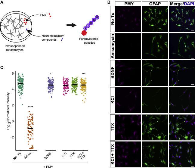 Here are several punchy, engaging rewrites you can use - pick the tone you like: 1. Add Serious Yards: 3 Pro Swing Keys to Smoke Your Driver 2. Turn Your Driver Into a Bomb: 3 Secrets from a Top Coach 3. Drive It Like a Tour Pro: 3 Simple Swing Fixes Here's a comma-separated list of relevant keywords extracted from your article heading:
**Lanny Wadkins