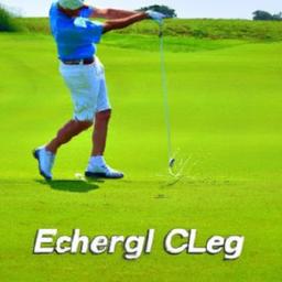 Bryson DeChambeau rallies Ryder Cup fans with electrifying range session DeChambeau electrifies Ryder Cup fans with power-packed range display