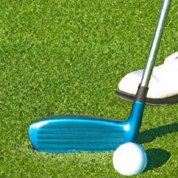 Revolutionize Your Golf Game: Elevate Swing, Drive & Putting Skills Complete functional assessment and evidence based metrics to guide individualized golf fitness programs