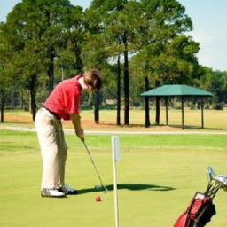 Here are several more engaging title options you can use-pick the tone you like (practical, punchy, or pro-level): - Drive, Putt, Win: Master Swing Mechanics and Course Strategy for Every Golfer
- From Tee to Green: Proven Drills to Transform Your Swing, Theoretical Foundations of Modern Golf Swing Mechanics