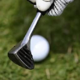 Here are several more engaging title options - my top pick is first: - From Grip to Green: 8 Beginner Golf Errors and Science-Backed Corrections (recommended)
- Break Par Faster: 8 Common Beginner Golf Mistakes and Evidence-Based Fixes
- Fix Your Swing: Optimizing Grip Mechanics: Evidence Based Adjustments for Consistent Clubface Control