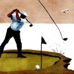 Here are some more engaging title options-pick one or tell me the tone you prefer (technical, poetic, marketing) and I'll refine: 1. Mastering Golf Course Design: Bold Principles and Winning Strategies 2. From Tee to Green: A Strategic Guide to Smarter Hazard Placement Strategies to Encourage Risk Reward decision Making and Tactical Shot Shaping