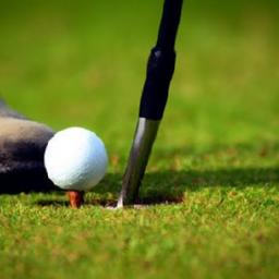 Evaluating Golf Handicaps: Methods and Course Effects Theoretical Frameworks for Handicap Assessment and Their Statistical Assumptions