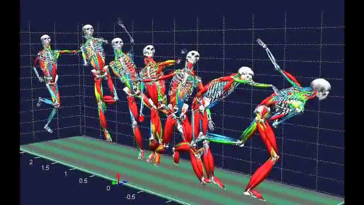 Biomechanical Analysis of the Golf Swing biomechanical analysis
