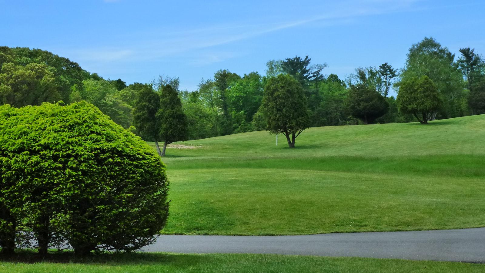 - Mastering ‍the Zone: The ⁣Power⁢ of​ Presence on the Golf Course