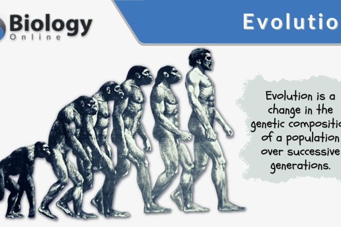The Historical Evolution of Golf: A Comprehensive Examination