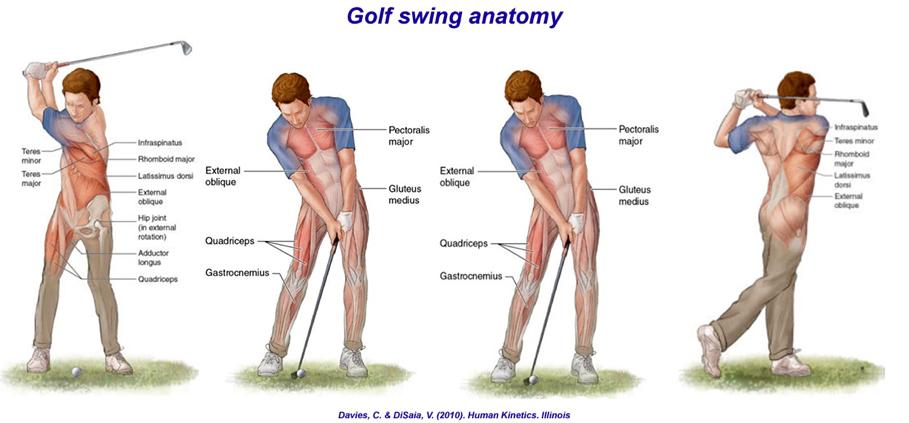 Biomechanical Analysis of the Golf Swing for Optimal Performance