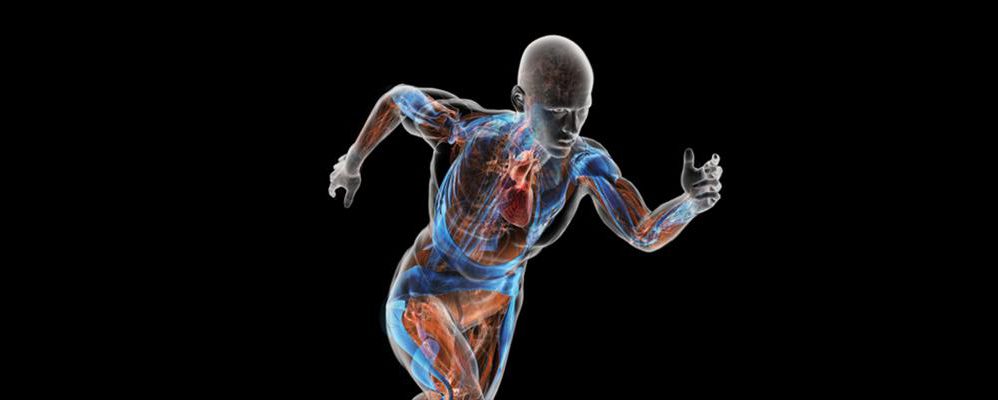 Vijay Singh’s Approach to Golf: Technical Insights and Biomechanical Analysis
