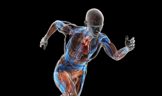 The Biomechanics of Sergio Garcia’s Golf Swing: A Technical Analysis