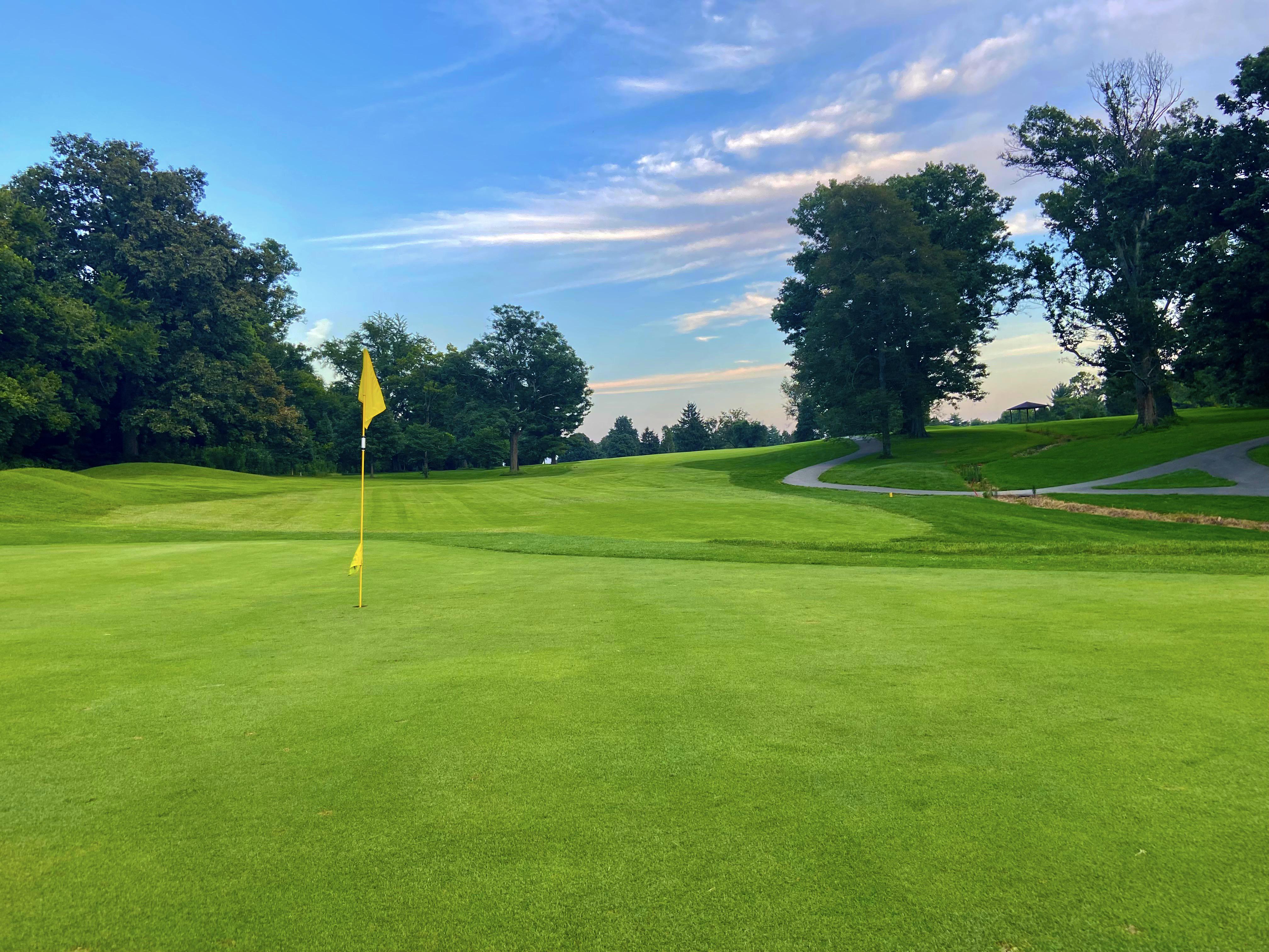The Cultural Impact of Golf Movies: Fostering Appreciation and Engagement