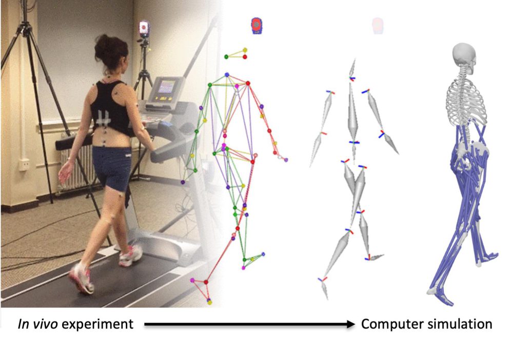 The Biomechanical Precision of Bobby Locke’s Instructional Legacy: A Comprehensive Approach to Golf Swing Mastery