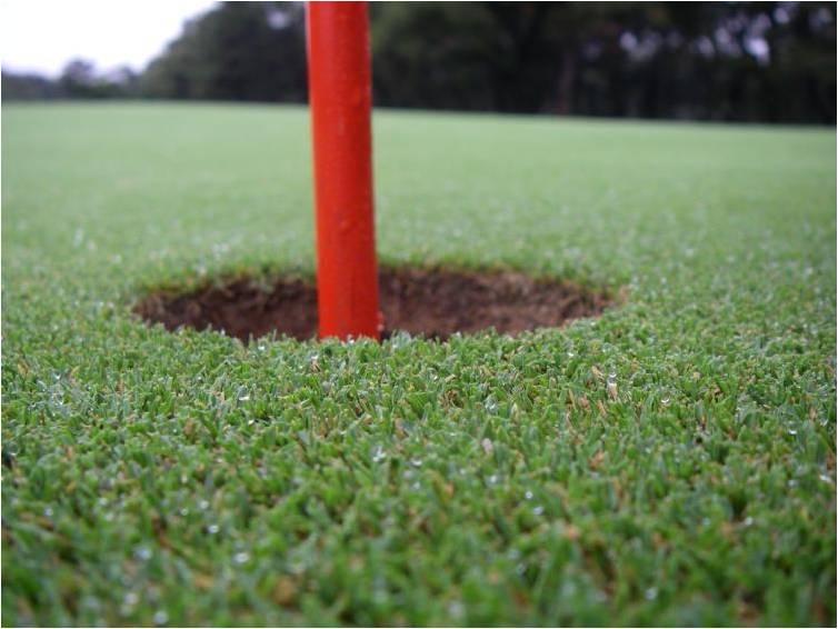 This dwarf Bermuda grass is a hot desert trend, and a famous California course has made the switch