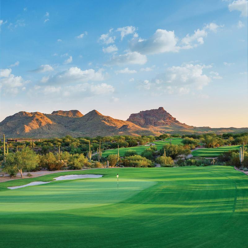 Saguaro Course