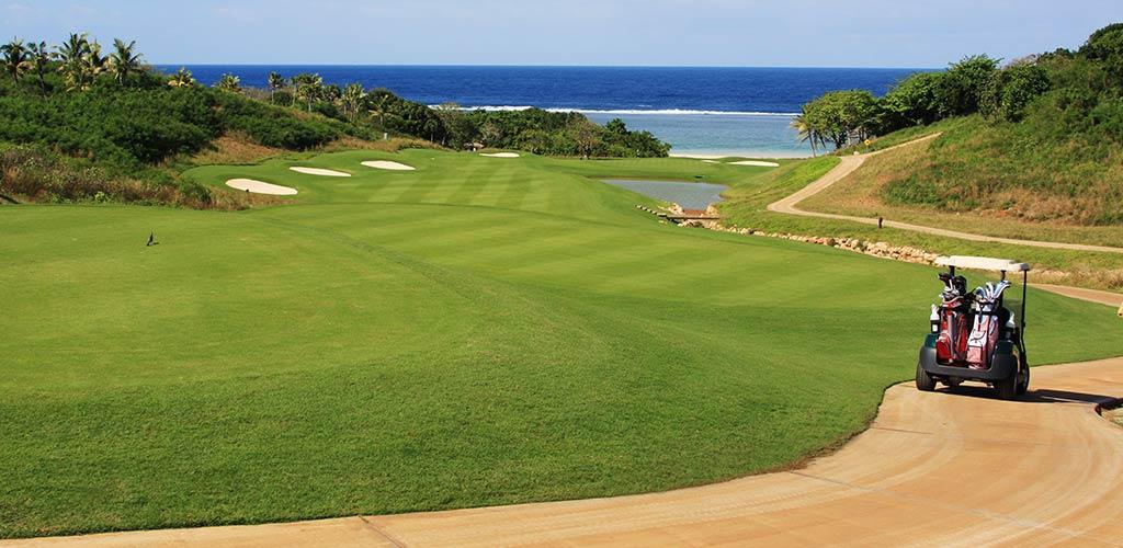 Master Your Game: Unlocking Elite Golf Skills for Peak Performance ...