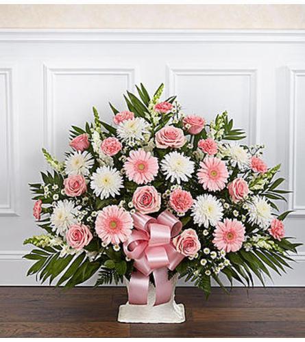 Heartfelt Tribute